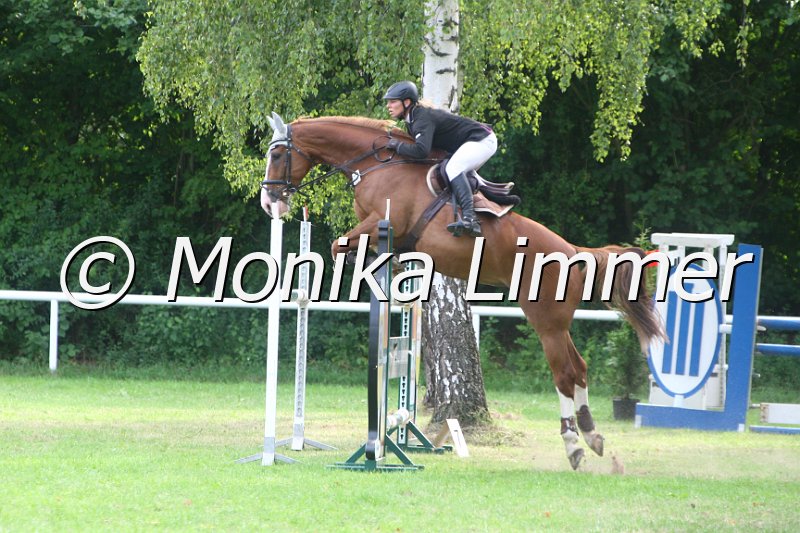 308M0948_Coolman_Spring Mx.JPG